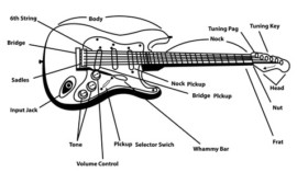 L'anatomie de la guitare